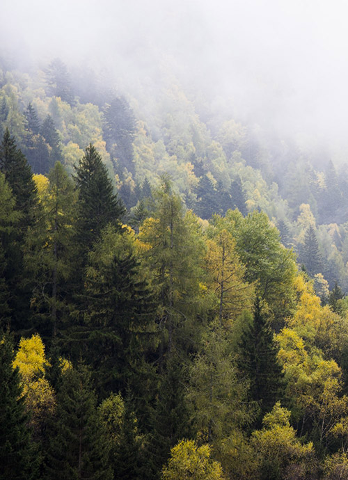 Sustainable products. With the greatest respect for our environment.